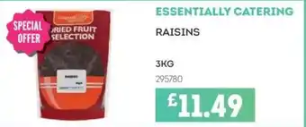 Bestway ESSENTIALLY CATERING Raisins offer
