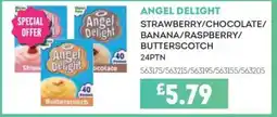 Bestway ANGEL DELIGHT Strawberry/chocolate/ banana/raspberry/ butterscotch offer