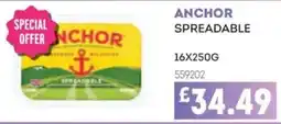 Bestway Anchor spreadable offer