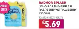 Bestway RADNOR SPLASH Lemon & lime/apple & raspberry/strawberry offer