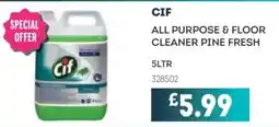 Bestway CIF All purpose & floor cleaner pine fresh offer