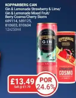 Bestway KOPPARBERG CAN Gin & Lemonade Strawberry & Lime/ Gin & Lemonade Mixed Fruit/ Berry Cosmo/Cherry Storm offer