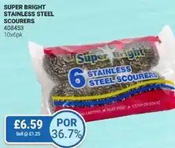 Bestway Super bright stainless steel scourers offer