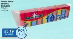 Bestway Super bright sponge scourer offer