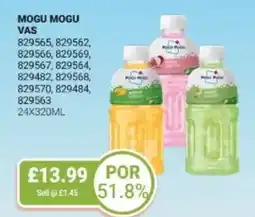 Bestway Mogu mogu offer