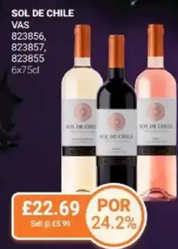 Bestway Sol de chile offer