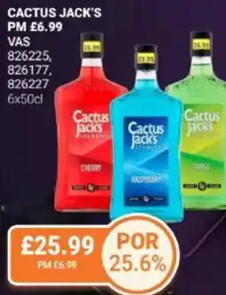 Bestway Cactus jack's offer