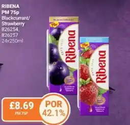Bestway RIBENA Blackcurrant/ Strawberry offer