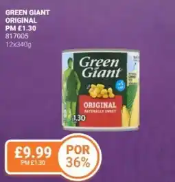 Bestway Green giant original offer