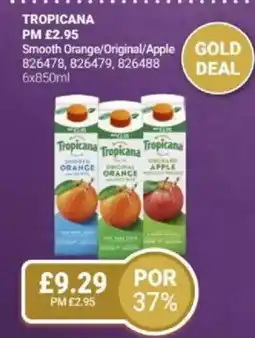 Bestway TROPICANA offer