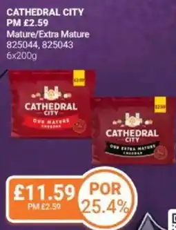 Bestway Cathedral city offer