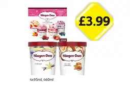 Londis Häagen-Dazs Fruit Collection, Vanilla, Salted Caramel offer