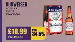 Bestway BUDWEISER Bottles offer