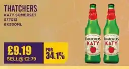 Bestway THATCHERS Katy somerset offer