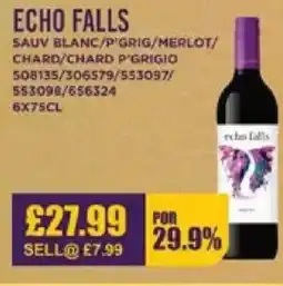 Bestway ECHO FALLS Sauv blanc/p grig/merlot/ chard/chard p'grigio offer