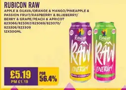 Bestway RUBICON RAW Apple & guava/orange & mango/pineapple & passion fruit/raspberry & blueberry/ berry & grape/peach & apricot offer