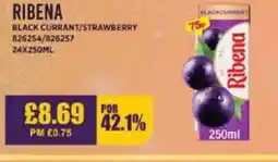 Bestway RIBENA Black currant/strawberry offer