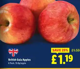 Lidl British Gala Apples offer