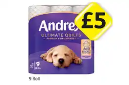Londis Andrex Ultimate Quilt offer