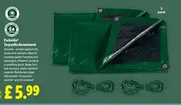 Lidl Parkside Tarpaulin Assortment offer