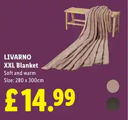 Lidl LIVARNO XXL Blanket offer