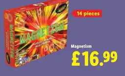 Lidl Magnetism offer