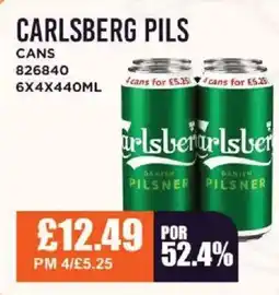 Bestway CARLSBERG PILS Cans offer
