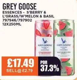 Bestway GREY GOOSE Essences - s'berry & l'grass/w'melon & basil offer