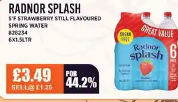 Bestway RADNOR SPLASH S'f strawberry still flavoured spring water offer