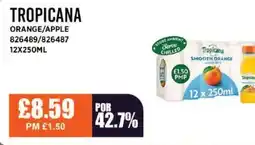 Bestway TROPICANA Orange/apple offer