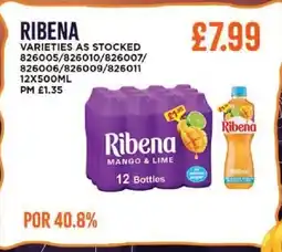 Bestway RIBENA offer