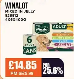 Bestway WINALOT Mixed in jelly offer