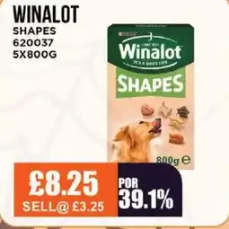 Bestway WINALOT Shapes offer