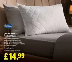 Lidl Quilted Duck Feather Pillow offer