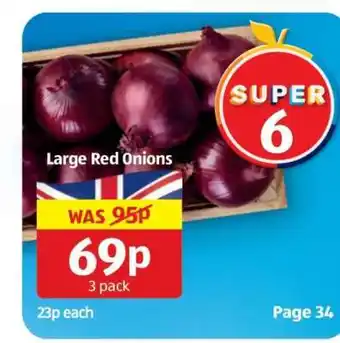 Large Red Onions