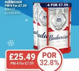 Bestway Budweiser offer