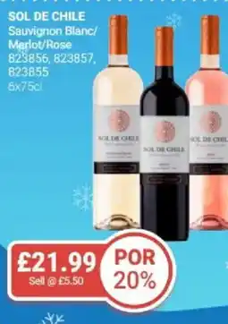 Bestway SOL DE CHILE Sauvignon Blanc/ Merlot/Rose offer