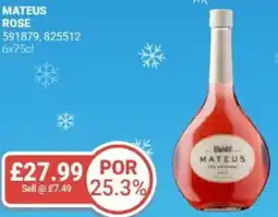 Bestway MATEUS Rose offer