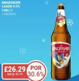 Bestway Kingfisher lager 4.5% offer
