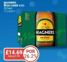 Bestway MAGNERS Irish cider 4.5% offer