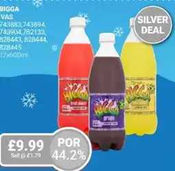 Bestway Bigga offer