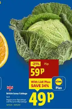 Lidl British Savoy Cabbage offer