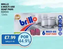 Bestway Brillo 6 multi-use soap pads offer