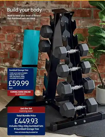 Aldi Dumbbell Storage Tree offer