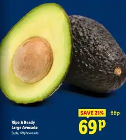 Lidl Ripe & Ready Large Avocado offer
