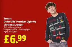 Lidl Esmara Older Kids’ Premium Light-Up Christmas Jumper offer