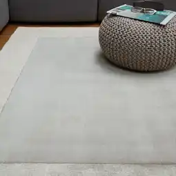 Costco Asiatic Ascot Silver Rug, in 2 Sizes offer