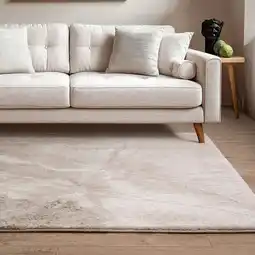 Costco Mirage Haze Beige Rug, in 2 Sizes offer