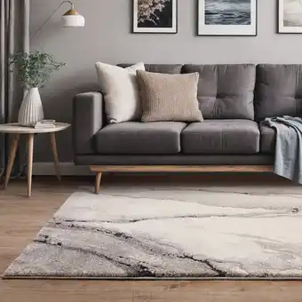 Costco Mirage Oasis Grey Rug, in 2 Sizes offer