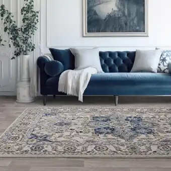 Costco Nova Persian Blue Rug, in 2 Sizes offer